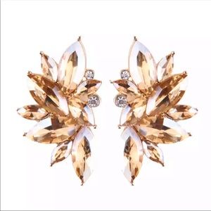 NEW 👑ROYALTY JEWELS 💎 taupe Crystal Earrings